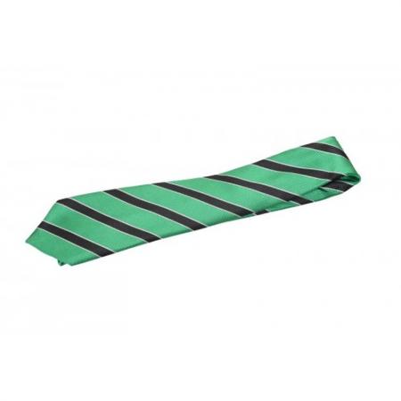 Orchard Academy House Tie